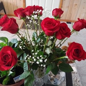 Meet your Posher, Lela